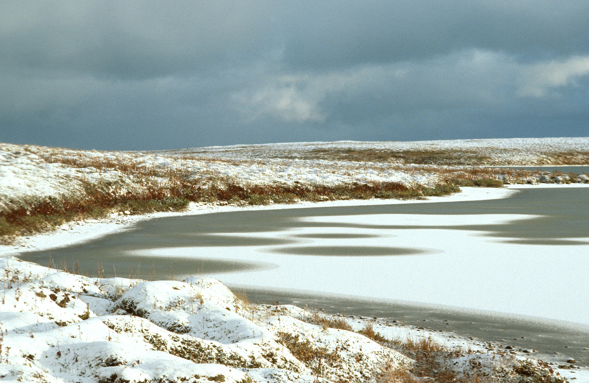 wetlands-feb1.jpg